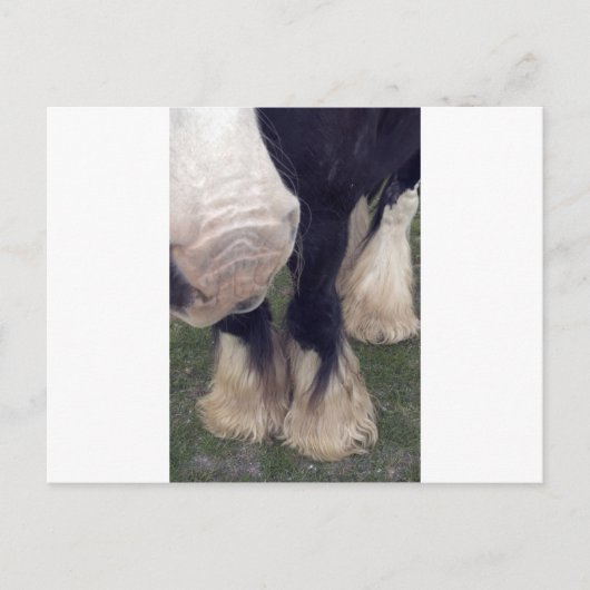 Stanley Postkarte (Vorderseite)