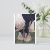 Stanley Postkarte (Stehend Vorderseite)