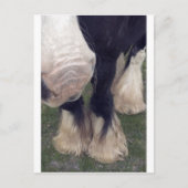 Stanley Postkarte (Vorderseite)