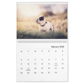 Stanly & Agnes - zwei kleine Bullhunde von Oz Kalender (Feb 2026)