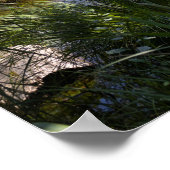 Stanserhorn und Gerzensee, Schweiz Poster (Ecke)