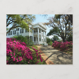 Stanton Hall - Frühling in Natchez, Mississippi Postkarte
