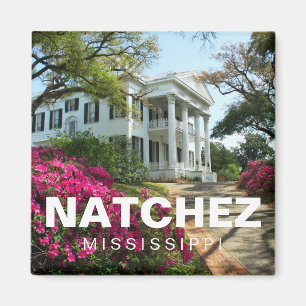 Stanton Hall Natchez, Mississippi-Andenkenmagnet Magnet