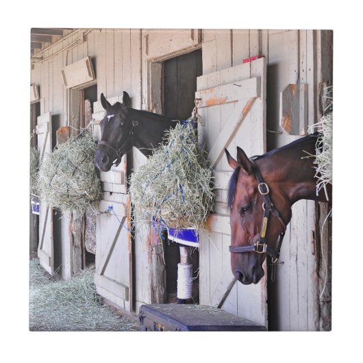 Stanwyck durch Reich-Hersteller Fliese (Vorderseite)