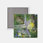 Stanza di vedere magnet (Vorderseite/Rückseite)