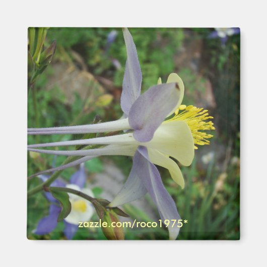 Stanza di vedere magnet (Vorne)