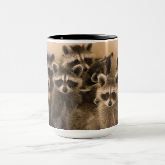 Stapel des Waschbärbechers Tasse (Zentrum)