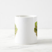 Stapel geschnittene Kiwi Kaffeetasse (Mittel)