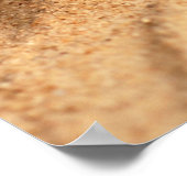 Stapel Hübscher Conch-Muscheln Poster (Ecke)
