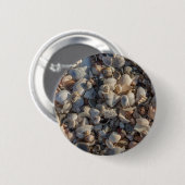 Stapel von Seashells Button (Vorne & Hinten)