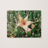 Stapelia Starfish Cactus Blume Foto Puzzle (Horizontal)