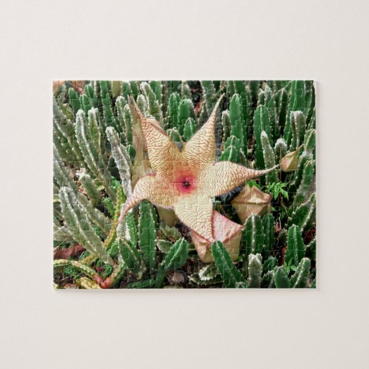 Stapelia Starfish Cactus Blume Foto Puzzle (Horizontal)