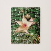 Stapelia Starfish Cactus Blume Foto Puzzle (Vertikal)