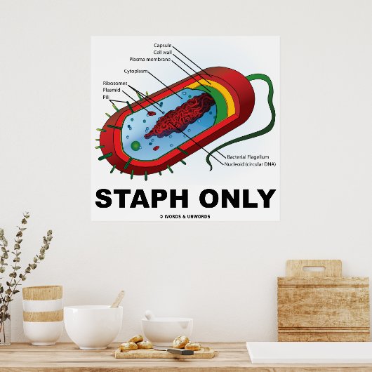 Staph nur (Bacteria Prokaryote) Poster (Küche)