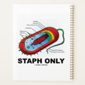 Staph nur Bakteriendiagramm Prokaryote Bakterien Planer (Rückseite)