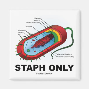 Staph Only (Prokaryote Health Medicine Spaß) Magnet