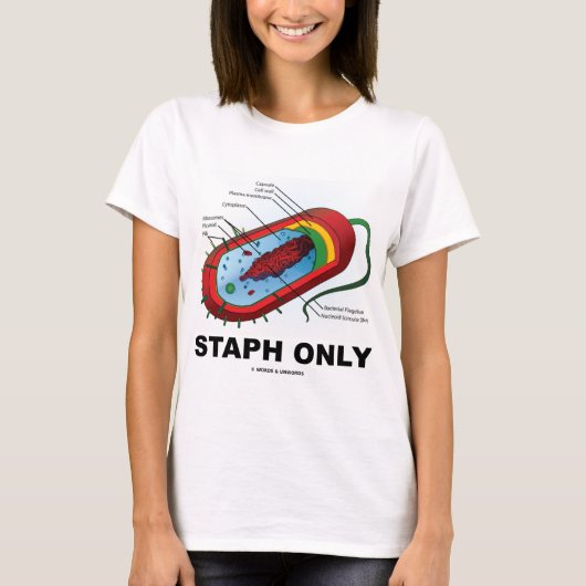 Staph only (Prokaryote Health Medicine Spaß) T-Shirt (Vorderseite)