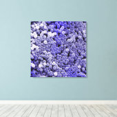 Staphylococcus Leinwanddruck (Insitu (Holzboden))