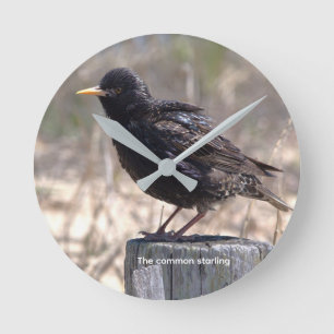 Star auf einem Holzpfosten Runde Wanduhr
