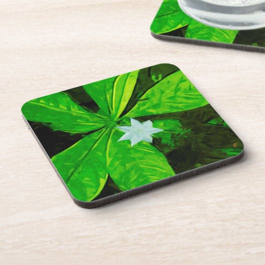 Star Blume eine weiße Wildblume Abstrakt Untersetzer (Linke Seite)