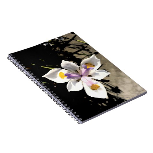 Star-Blume Notizblock (Rechte Seite)