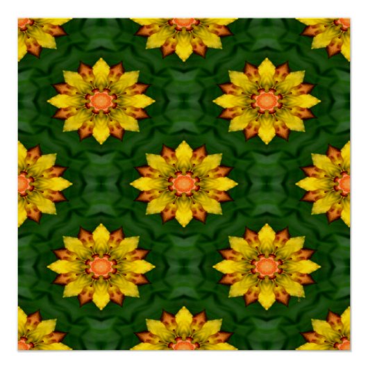Star-Blume... Poster (Vorderseite)