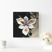 Star-Blume Quadratische Wanduhr (Zuhause)