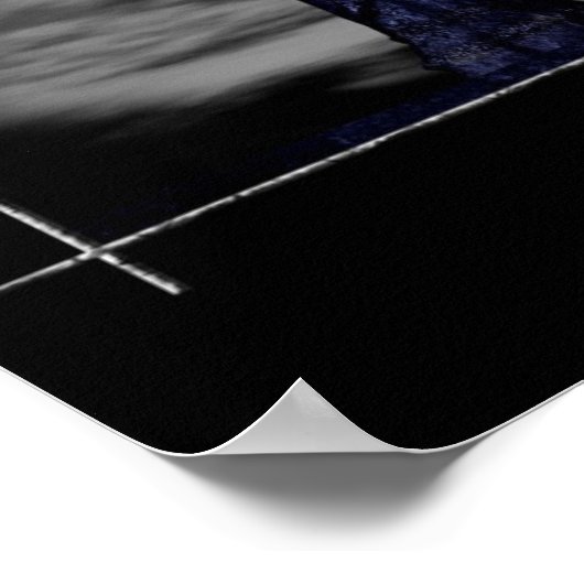 Star Catcher Poster (Ecke)