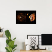 Star Child von Gregory Gallo Poster (Heimbüro)