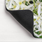 Star Clematis Blume Mousepad (Ecke)