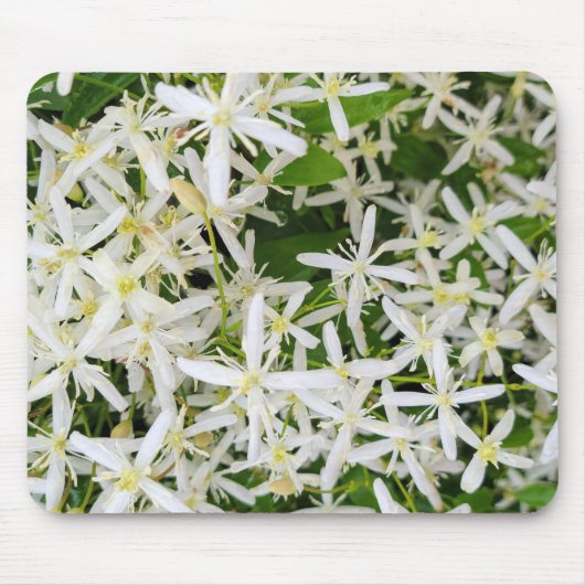 Star Clematis Blume Mousepad (Vorne)