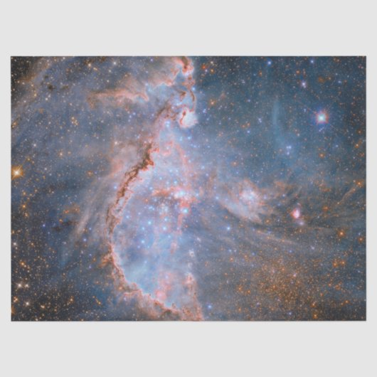 Star Cluster NGC 346 Seidenpapier (Vorderseite)