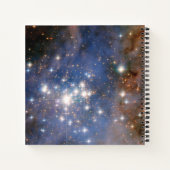 Star Cluster Trumpler 14. Notizblock (Rückseite)