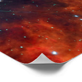 Star Delphine Poster (Ecke)