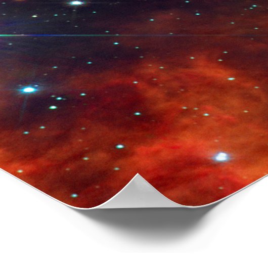 Star Delphine Poster (Ecke)