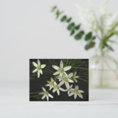 Star der Bethlehem ATC Visitenkarte (Stehend Vorderseite)