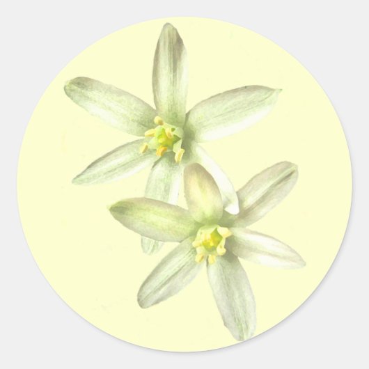 Star der Bethlehem Aufkleber (Vorderseite)