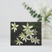 Star der Bethlehem Postkarte (Stehend Vorderseite)