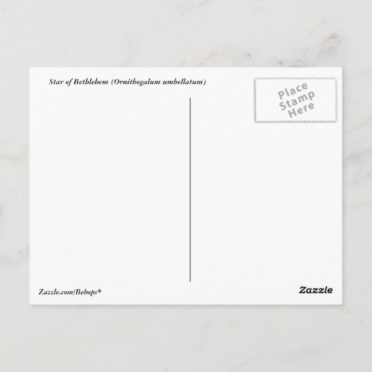 Star der Bethlehem Postkarte (Rückseite)
