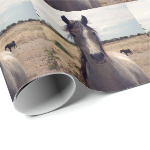 Star des arabischen Pony, das Papier des Wortes Geschenkpapier