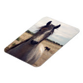 Star des arabischen Pony, flexibler Magnet (Linke Seite)