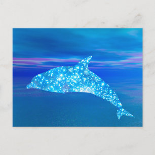Star Dolphin Postcard Postkarte