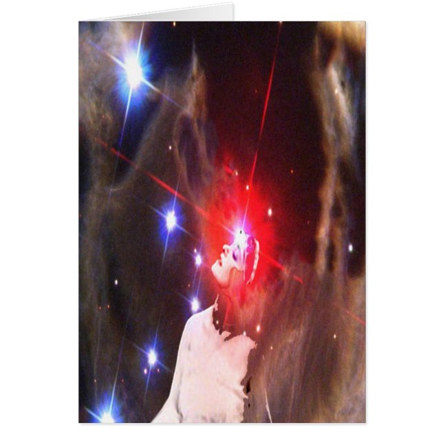 Star Dreamer (Vorne)