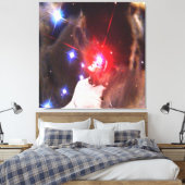 Star Dreamer Leinwanddruck (Insitu (Schlafzimmer))