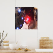 Star Dreamer Poster (Küche)
