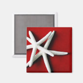 Star Fish Magnet (Vorderseite/Rückseite)