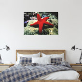 Star Fish | Rotes Meer Leinwanddruck (Insitu (Schlafzimmer))