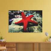 Star Fish | Rotes Meer Leinwanddruck (Insitu (Wohnzimmer))
