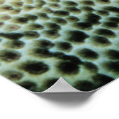 Star Fish | Rotes Meer Poster (Ecke)