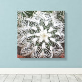 Star-förmige Kaktus von Debra Lee Baldwin Leinwanddruck (Insitu (Holzboden))